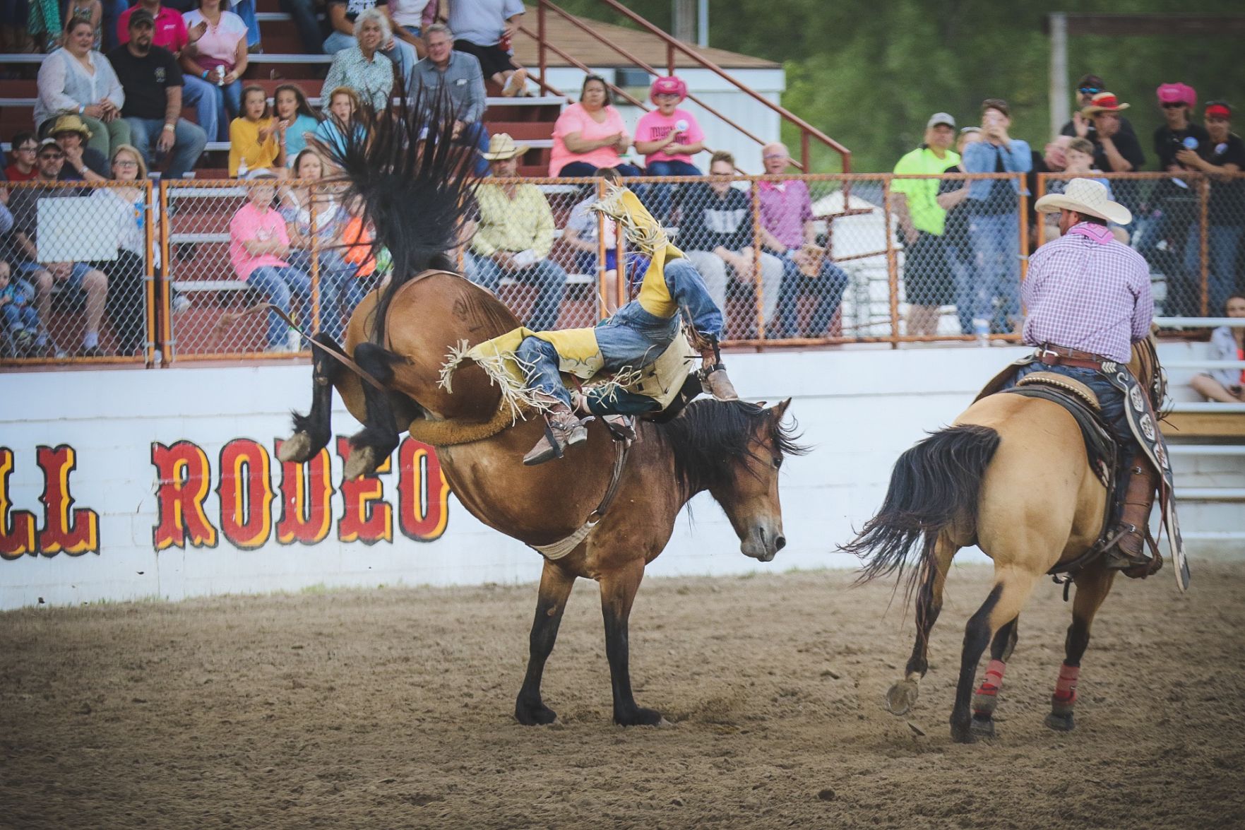 Buffalo Bill Rodeo Night 2 (42).jpg